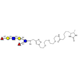 Lacto-N-Difucohexaose analogue linked to desthiobiotin (Linker-DBT-A)