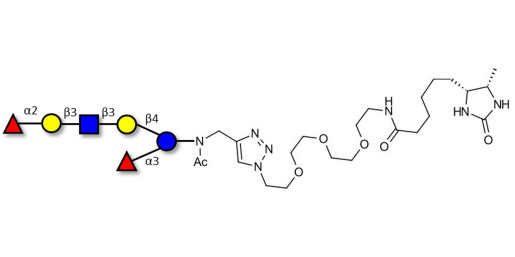 Lacto-N-Difucohexaose analogue linked to desthiobiotin (Linker-DBT-A)