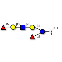 Lacto-N-Difucohexaose analogue grafted on KLH
