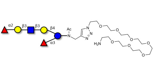 Lacto-N-Difucohexaose analogue with free terminal amine (Linker-NH2 C)