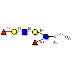 Lacto-N-Difucohexaose analogue with terminal alkyne (Linker-CΞCH A)