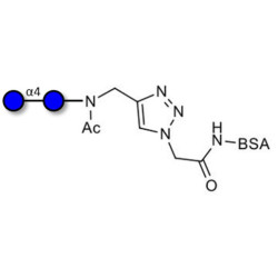 Maltose DP2 grafted on BSA (Linker-BSA B)