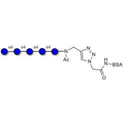 Maltopentaose DP5 grafted on BSA (Linker-BSA B)