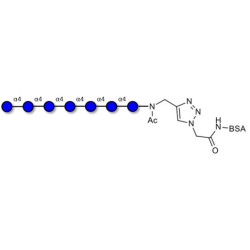 Maltoheptaose DP7 grafted on BSA (Linker-BSA B)
