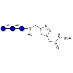 Isomaltotriose DP3 grafted on BSA (Linker-BSA B)
