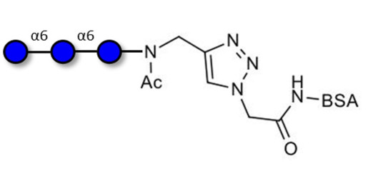 Isomaltotriose DP3 grafted on BSA (Linker-BSA B)