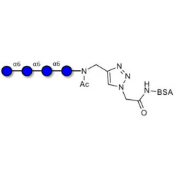 Isomaltotetraose DP4 grafted on BSA (Linker-BSA B)