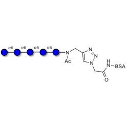 Isomaltopentaose DP5 grafted on BSA (Linker-BSA B)