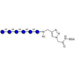 Isomaltohexaose DP6 grafted on BSA (Linker-BSA B)