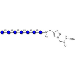 Isomaltoheptaose DP7 grafted on BSA (Linker-BSA B)
