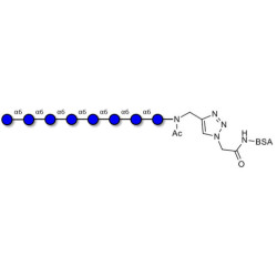 Isomaltooctaose DP8 grafted on BSA (Linker-BSA B)