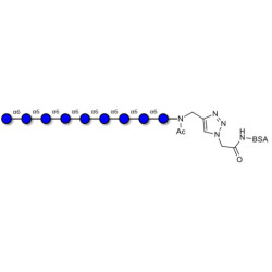 Isomaltononaose DP9 grafted on BSA (Linker-BSA B)