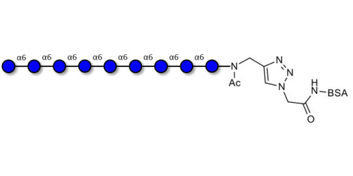 Isomaltononaose DP9 grafted on BSA (Linker-BSA B)