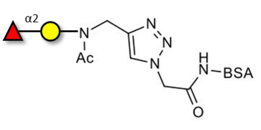 Blood group H antigen disaccharide grafted on BSA (Linker-BSA B)