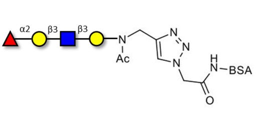 Blood group H antigen tetraose type 1 grafted on BSA (Linker-BSA B) - Blood group H tetrasaccharide type I ; 