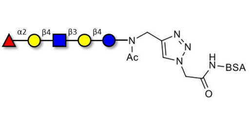 Blood group H antigen pentaose type 2 / Lacto-N-neofucopentaose I (LnNFP I) grafted on BSA (Linker-BSA B)