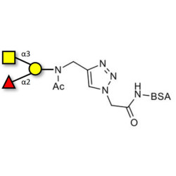 Blood group A antigen triose grafted on BSA (Linker-BSA B)
