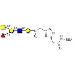 Blood group A antigen pentaose type 1 grafted on BSA (Linker-BSA B)