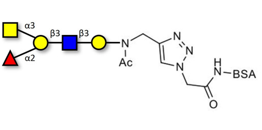 Blood group A antigen pentaose type 1 grafted on BSA (Linker-BSA B)