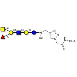 Blood group A antigen hexaose type 1 grafted on BSA (Linker-BSA B)