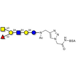Blood group A antigen hexaose type 2 grafted on BSA (Linker-BSA B)