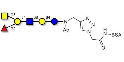 Blood group A antigen hexaose type 2 grafted on BSA (Linker-BSA B)