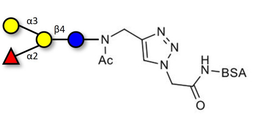 Blood group B antigen tetraose type 6 grafted on BSA (Linker-BSA B)