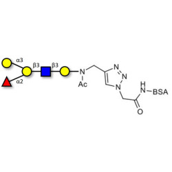 Blood group B antigen pentaose type 1 grafted on BSA (Linker-BSA B)