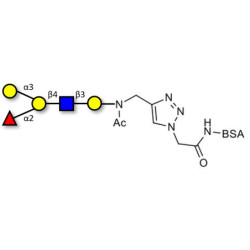 Blood group B antigen pentaose type 2 grafted on BSA (Linker-BSA B)
