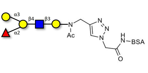 Blood group B antigen pentaose type 2 grafted on BSA (Linker-BSA B)