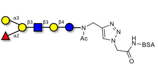 Blood group B antigen hexaose type 1 grafted on BSA (Linker-BSA B)