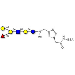 Blood group B antigen hexaose type 2 grafted on BSA (Linker-BSA B)