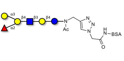 Blood group B antigen hexaose type 2 grafted on BSA (Linker-BSA B)