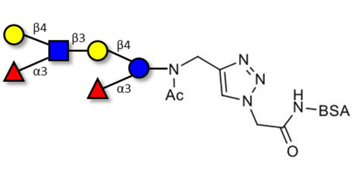Lewis x (Lex) hexaose / Lacto-N-neodifucohexaose II (LNnDFH II) grafted on BSA (Linker-BSA B) - Lewis X hexasaccharide; Lacto-N-difucohexaose III ; LNDFH III