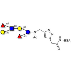 Lewis a (Lea) hexaose / Lacto-N-difucohexaose II (LNDFH II) grafted on BSA (Linker-BSA B)