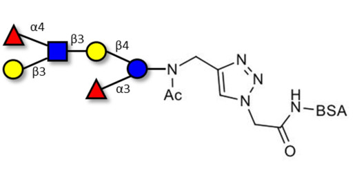 Lewis a (Lea) hexaose / Lacto-N-difucohexaose II (LNDFH II) grafted on BSA (Linker-BSA B)