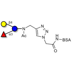 3-Fucosyllactose (3-FL) grafted on BSA (Linker-BSA B)