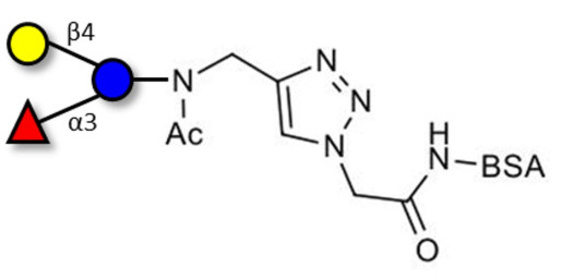 3-Fucosyllactose (3-FL) grafted on BSA (Linker-BSA B)