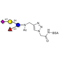 3’-Sialyl-3-Fucosyllactose grafted on BSA (Linker-BSA B)