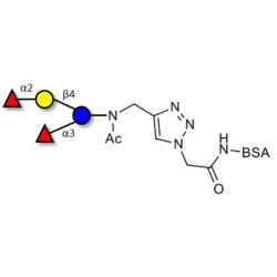 Difucosyllactose (DFL) / Lactodifucotetraose grafted on BSA (Linker-BSA B)