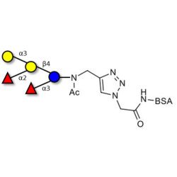Blood group B pentaose grafted on BSA (Linker-BSA B)
