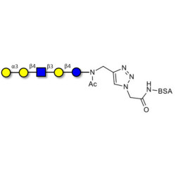 Galili antigen pentaose grafted on BSA (Linker-BSA B)