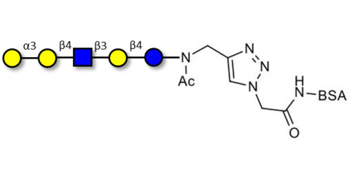 Galili antigen pentaose grafted on BSA (Linker-BSA B)