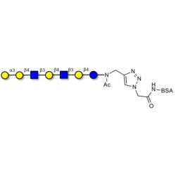 Galili antigen heptaose grafted on BSA (Linker-BSA B)