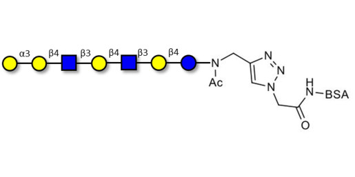 Galili antigen heptaose grafted on BSA (Linker-BSA B)