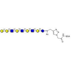 Galili antigen nonaose grafted on BSA (Linker-BSA B)