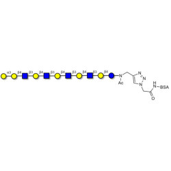 Galili antigen undecaose grafted on BSA (Linker-BSA B)