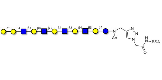 Galili antigen undecaose grafted on BSA (Linker-BSA B)