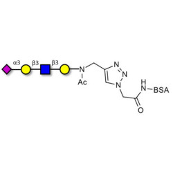 Sialylated tetraose type 1 grafted on BSA (Linker-BSA B)