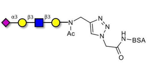 Sialylated tetraose type 1 grafted on BSA (Linker-BSA B)